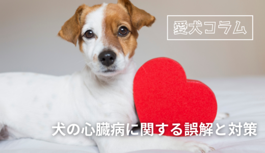 犬の心臓病に関する誤解と対策